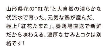 山形県花の“紅花”と大自然の清らかな伏流水と空気で育った元気な鶏が産んだ極上「紅花たまご」。養鶏場直送で新鮮だから味わえる濃厚な甘みとコクは別格です！