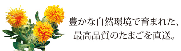 豊かな自然環境で育まれた、最高品質のたまごを直送。