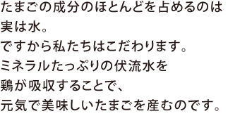 たまごの成分のほとんどを占めるのは実は水。ですから私たちはこだわります。ミネラルたっぷりの伏流水を鶏が吸収することで、元気で美味しいたまごを産むのです。