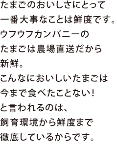 たまごのおいしさにとって一番大事なことは鮮度です。ウフウフカンパニーのたまごは農場直送だから新鮮。こんなにおいしいたまごは今まで食べたことない！と言われるのは、飼育環境から鮮度まで徹底しているからです。